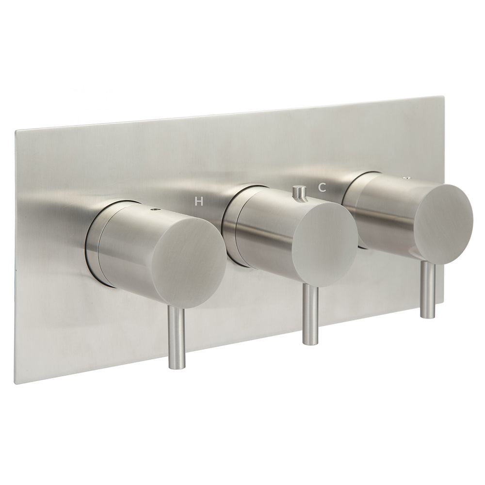 Stainless steel thermostatic shower valve -Tapron