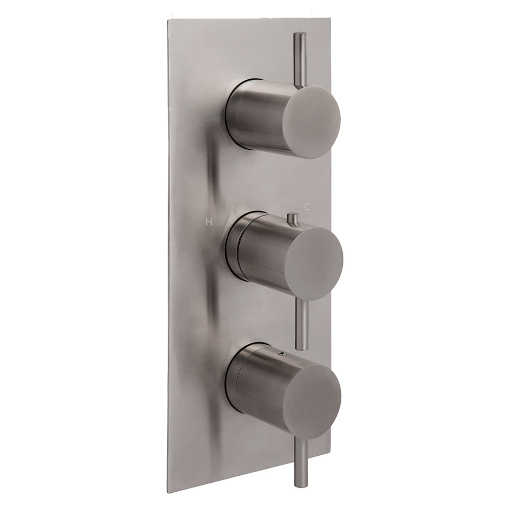 Stainless Steel Thermostatic Shower Valve