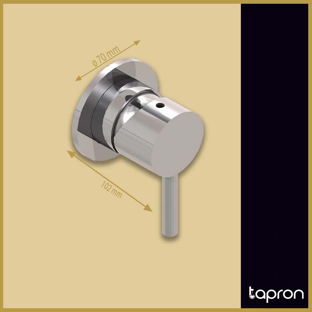 Stainless Steel 1-Outlet Concealed Single-Lever Manual Shower Valve-Tapron