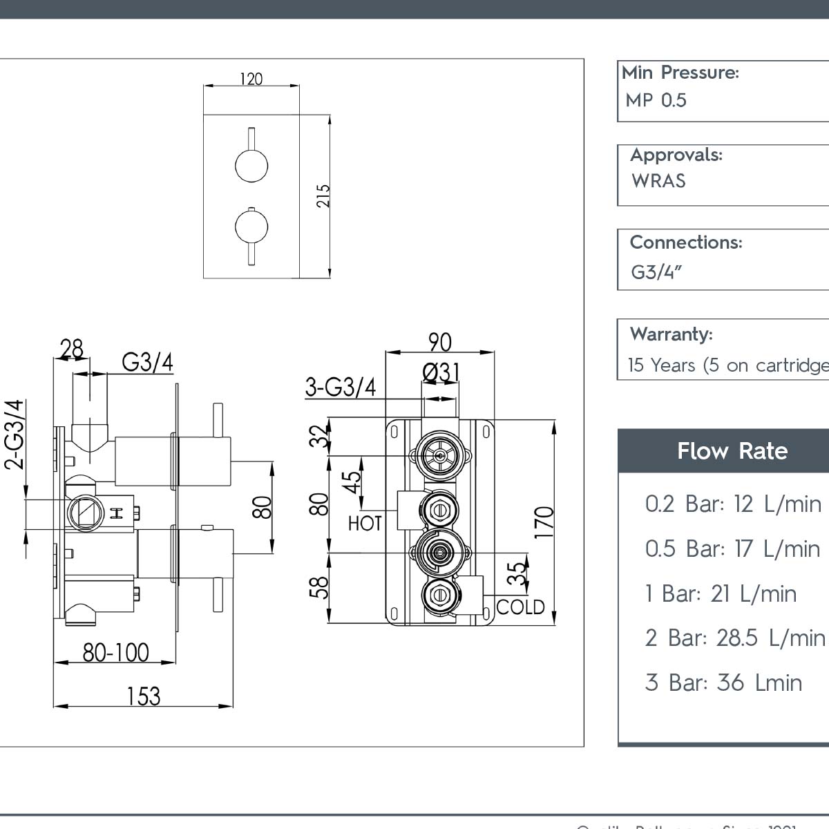 Thermostatic Concealed 1 Outlet Shower Valve