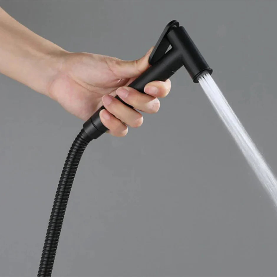 bathroom_douche_kits_Tapron