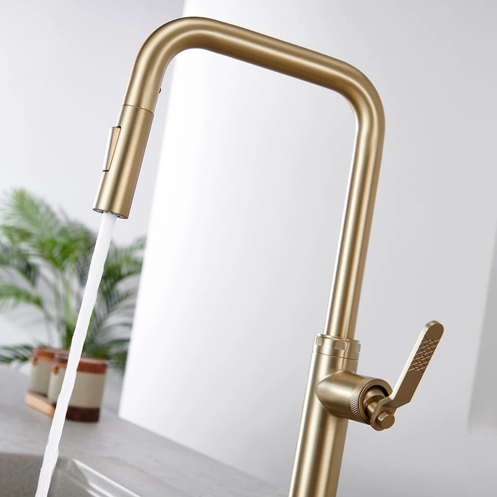 Brass kitchen tap with pull out spray