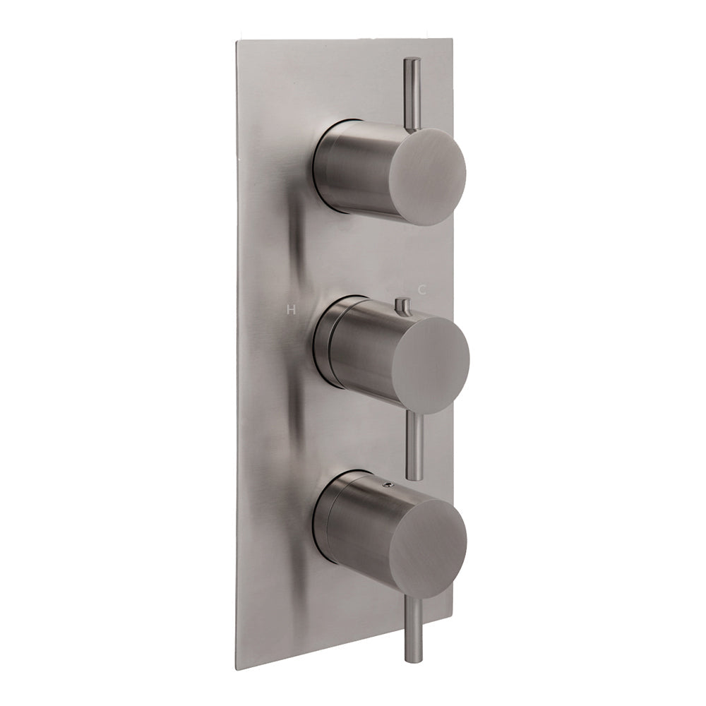 Thermostatic Shower Valve Stainless Steel Two Outlets