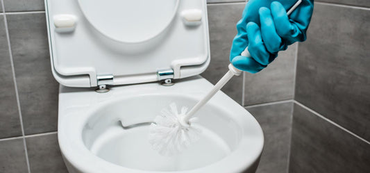 How to unclog a toilet