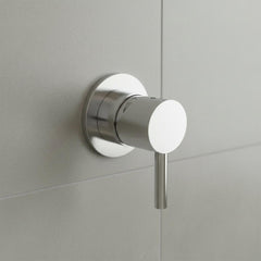 1-Outlet Concealed Single-Lever Manual Shower Valve - Stainless Steel