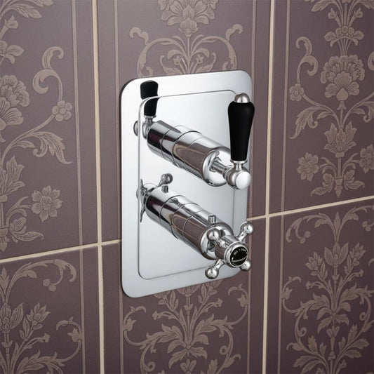 2 Outlet Concealed Thermostatic Shower Mixer Valve