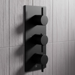  2 Outlet Thermostatic Concealed Shower Valve - Matt Black