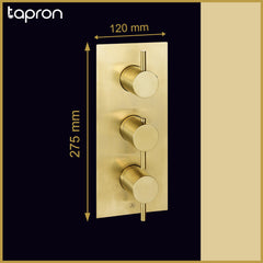 Concealed two way shower mixer valve - Dimension