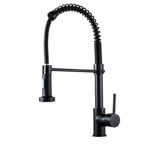 Kitchen Tap with Flexible Pull Out Spray