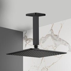 Shower head and arm