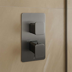 Gunmetal Thermostatic Concealed Shower Valve for 2 Outlets