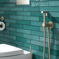 Brushed Brass Douche Shower Kit