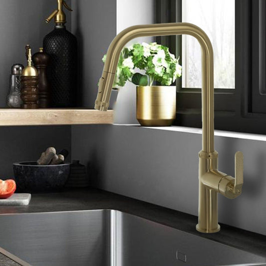 Brushed_Brass_Kitchen_Tap_with_P 1200