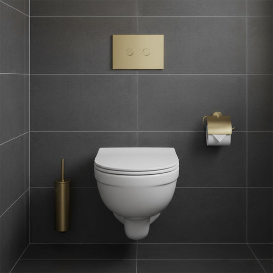 Brushed Brass Toilet Flush Plate