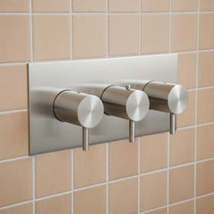 Brushed Stainless Steel Horizontal Thermostatic 3 Outlet Shower Valve - Ireland