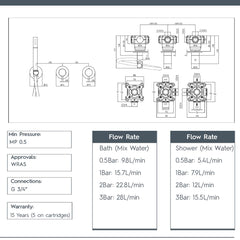 Concealed 2 Outlet Shower Valve with Pencil Handset 