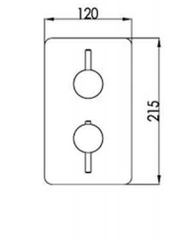Luna Thermostatic 2 Outlet Shower Valve