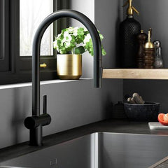 black kitchen mixer tap with pull out spray