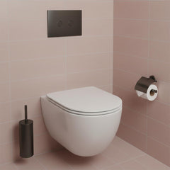 Matt black toilet flush plate