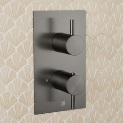 Gunmetal One Outlet Thermostatic Concealed Shower Valve  