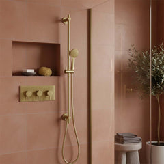 Slider Shower Rail Kit Round Shower Handset and Hose - Brushed Brass