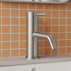 Stainless steel monobloc basin tap