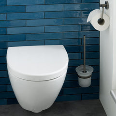 Back to wall Wc -Tapron