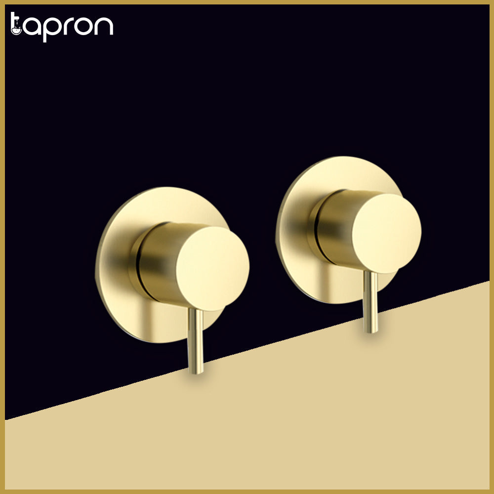 Brushed Brass Wall Mounted Valves -Tapron