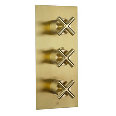 Thermostatic Concealed 2 Outlet Shower Valve, Vertical 