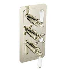 Concealed Thermostatic Shower Valve - Tapron