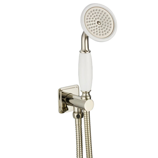 brushed nickel shower kit with hose and holder