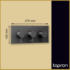 Matt Finish Thermostatic Concealed 2 Outlet Shower Valve, Horizontal-Tapron