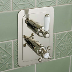 Victorian 2-Outlet Vertical Thermostatic Shower Mixer Valve - Nickel