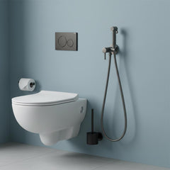 black toilet bidet spray kit