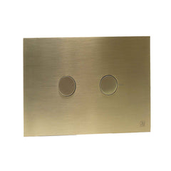 brushed brass dual flush plate