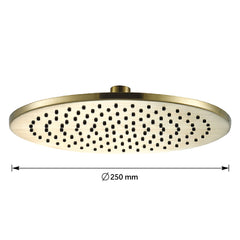 Brushed brass shower head - Dimension