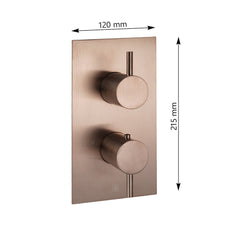One way shower valve thermostatic