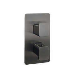 2 outlet concealed shower valve