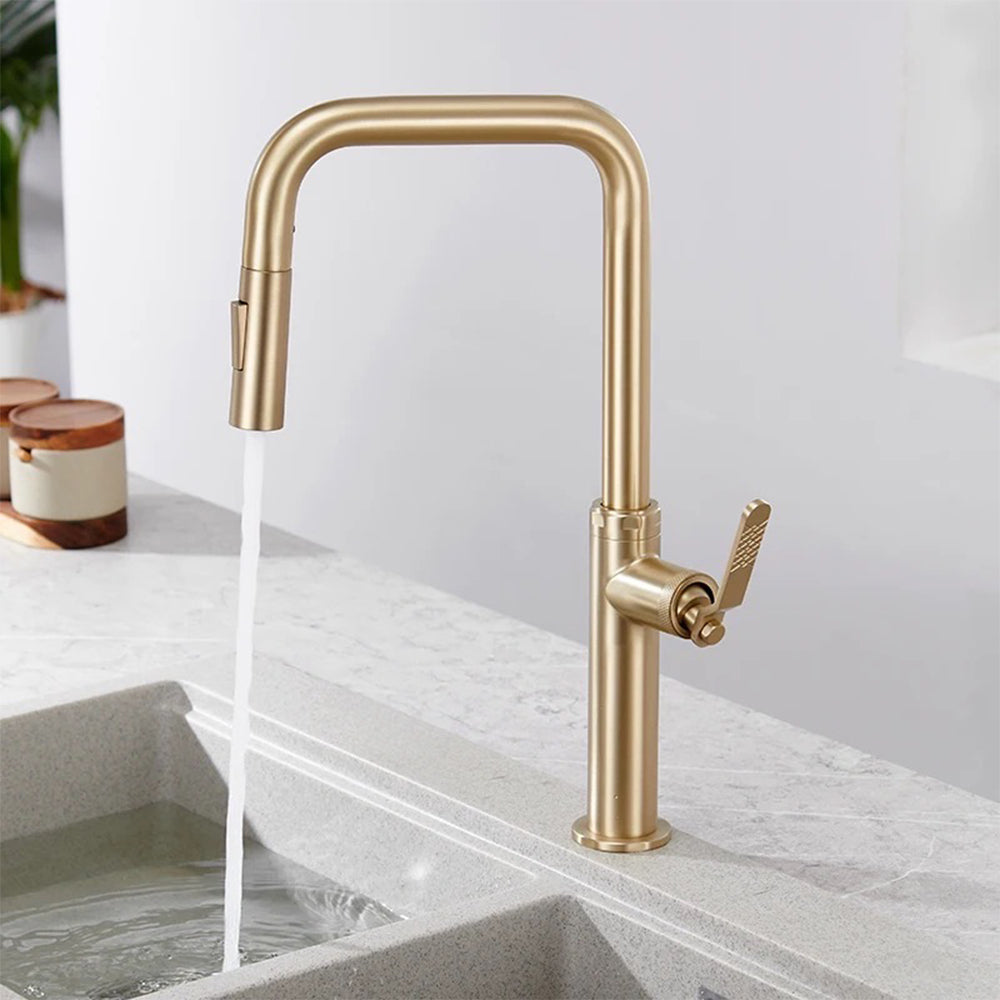 Brass Kitchen Tap | Gold Kitchen Tap with Pull-Out Spray – Tapron Ireland