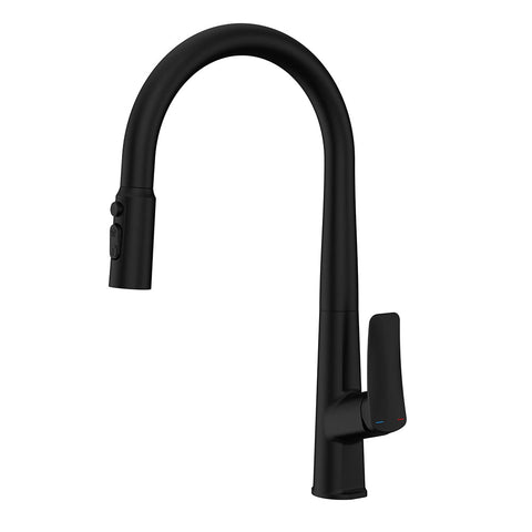 Black kitchen tap with pull out spray