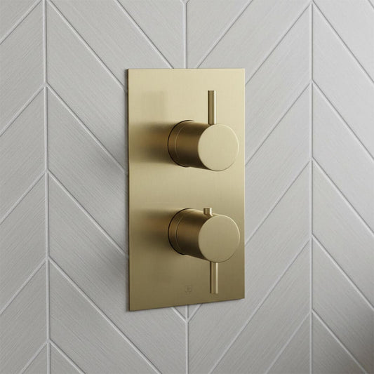 modern two-handle shower valve trim plate in brushed brass - Ireland  1200