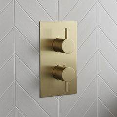 modern two-handle shower valve trim plate in brushed brass - Ireland 