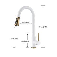 Kitchen tap with pull out spray dimensions