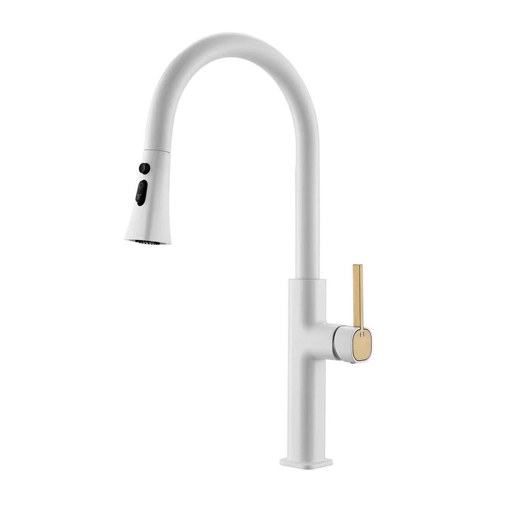 White kitchen taps with pull out spray