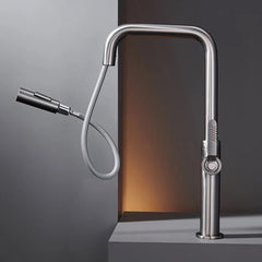 Black single lever pull out kitchen tap with pull out spary
