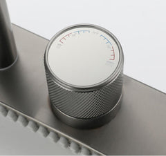 Gunmetal kitchen tap with 3 mode function